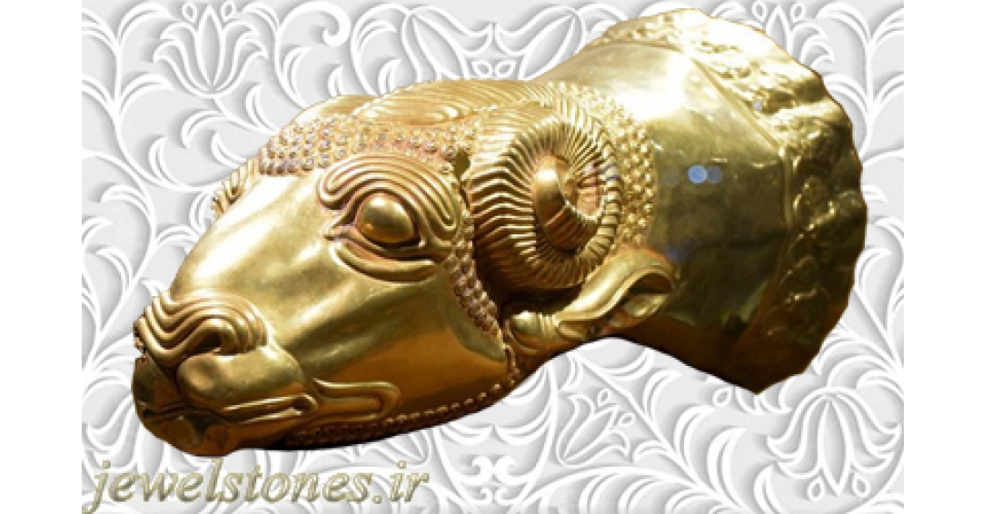 تکوک زرین بز مادها